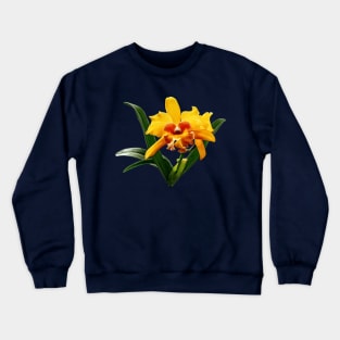 Orchids - Cattleya Orchid Orchidglade Crewneck Sweatshirt